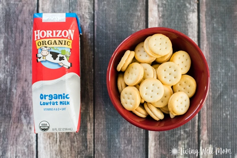 Horizon Organic snack