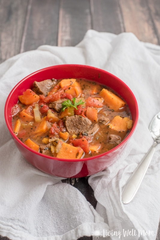 Slow Cooker Paleo Beef Stew - Living Well Mom