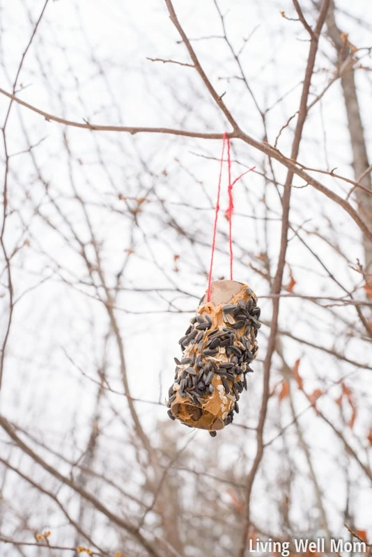 Looking for an easy activity to do with the kids? This simple homemade bird feeder uses common household items you probably already have and is so easy to make, it's the perfect project for young children! Plus it's a great way to teach kids about nature; they'll love seeing wild birds eat from their very own feeder!