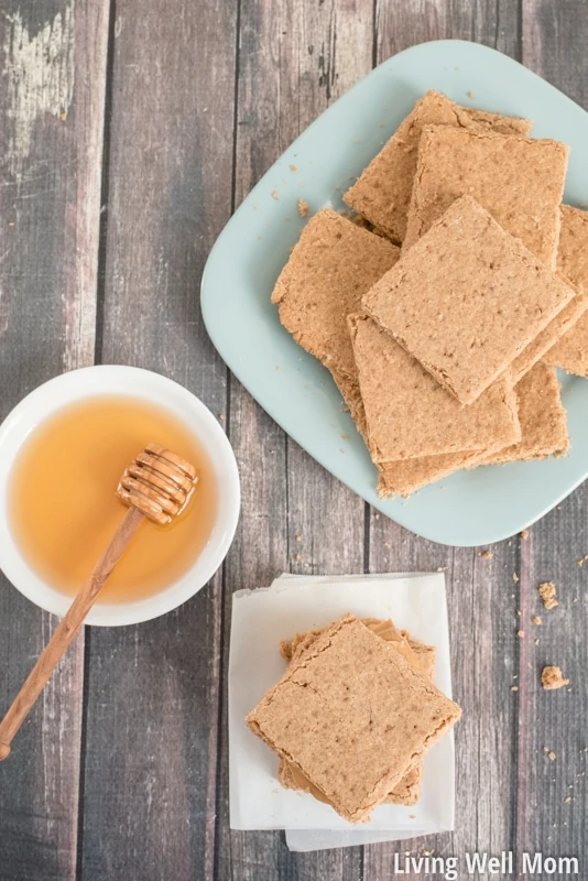 Tired of expensive, time-consuming gluten-free or Paleo bread? You'll love this super easy Graham Bread recipe - it's the easiest Paleo bread for kids you'll ever make and kids LOVE it!