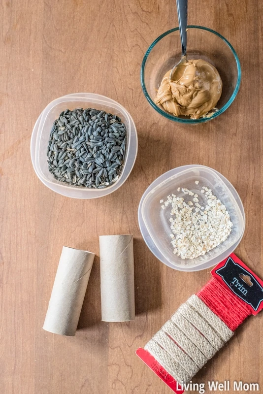 Looking for an easy activity to do with the kids? This simple homemade bird feeder uses common household items you probably already have and is so easy to make, it's the perfect project for young children! Plus it's a great way to teach kids about nature; they'll love seeing wild birds eat from their very own feeder!