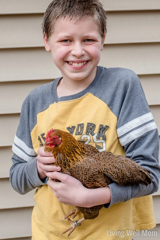 Thinking about getting chickens? There's more benefits than just fresh eggs! Here's 5 reasons why raising chickens is perfect for families!