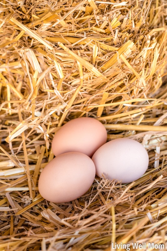 Thinking about getting chickens? From fresh eggs to fewer bugs, there's some amazing benefits to raising poultry; here's a few simple things to remember as you get started.