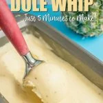 homemade disney dole whip recipe
