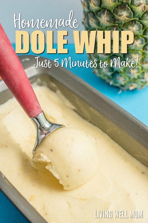 Healthy Homemade Dole Whip Recipe Less than 5 Minutes to Make Dairy