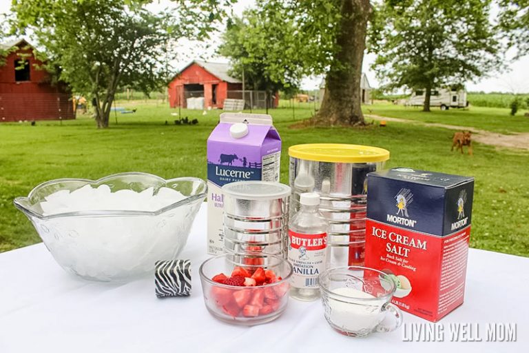 ingredients for coffee can ice cream activity for kids