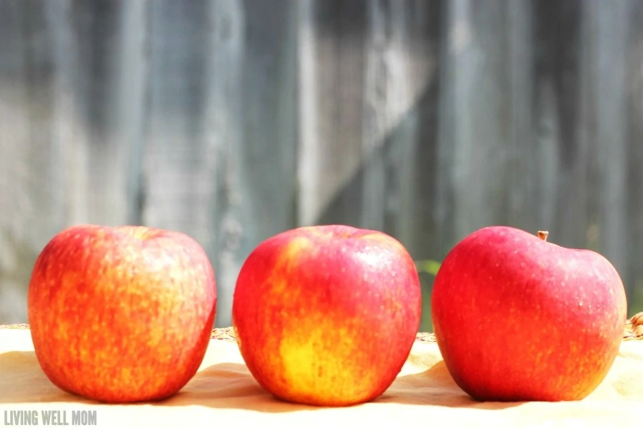 Looking for fall fun with the kids that includes a little science? This fun STEM project allows you to create a foamy “eruption” using supplies found in your kitchen. This isn’t your average volcano - these are APPLE Volcanoes! Get the easy how-to here: