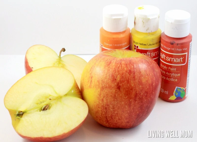 Apple stamping is a fun way for preschoolers to explore art. Make a colorful fall tree with apple stamping for a craft you'll be proud to display!