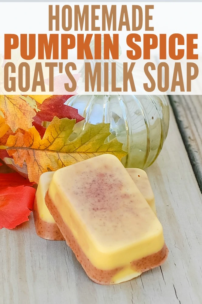 Pumpkin Pie Goat Milk Soap Bar