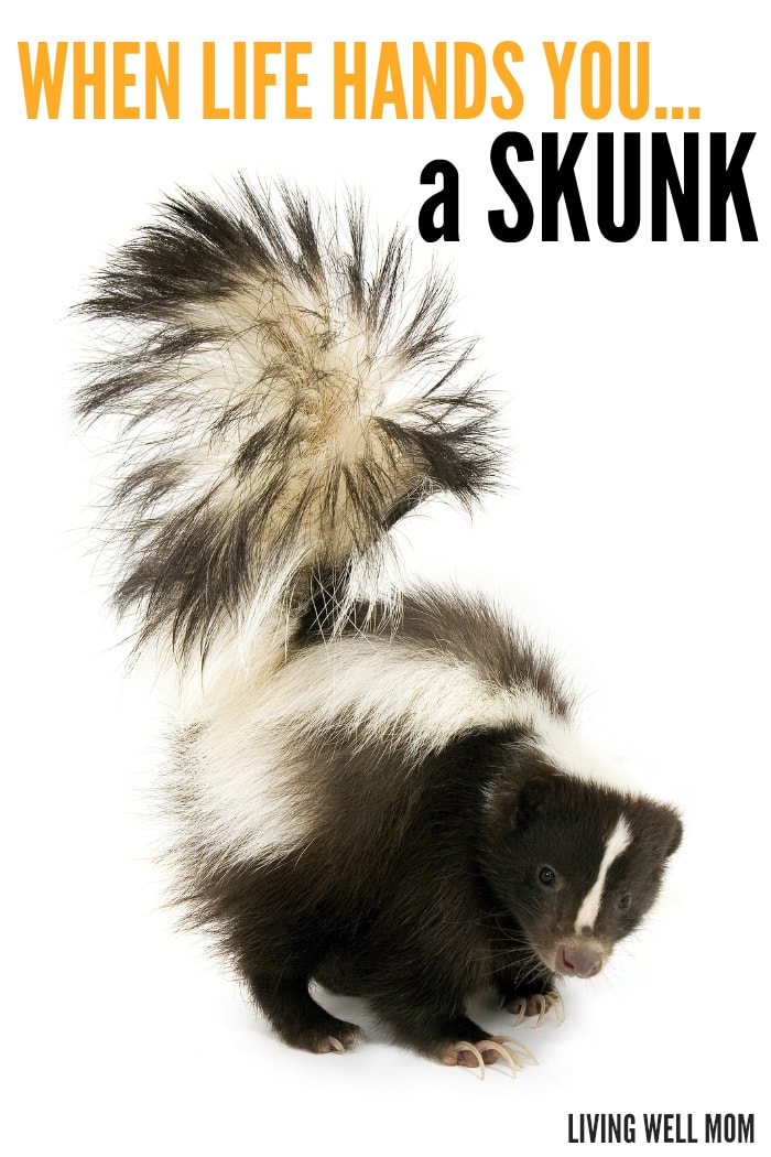 When life hands you a skunk, what do you? Read our "Skunk Story" - a true story so crazy you almost won't believe it!