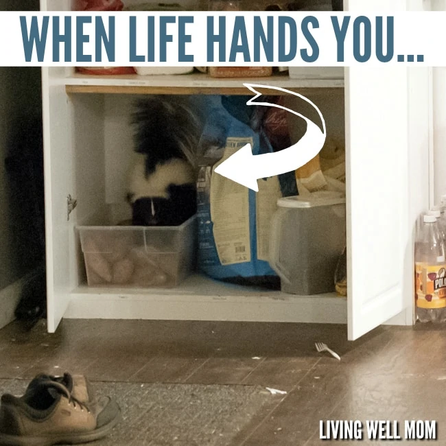 when-life-hands-you