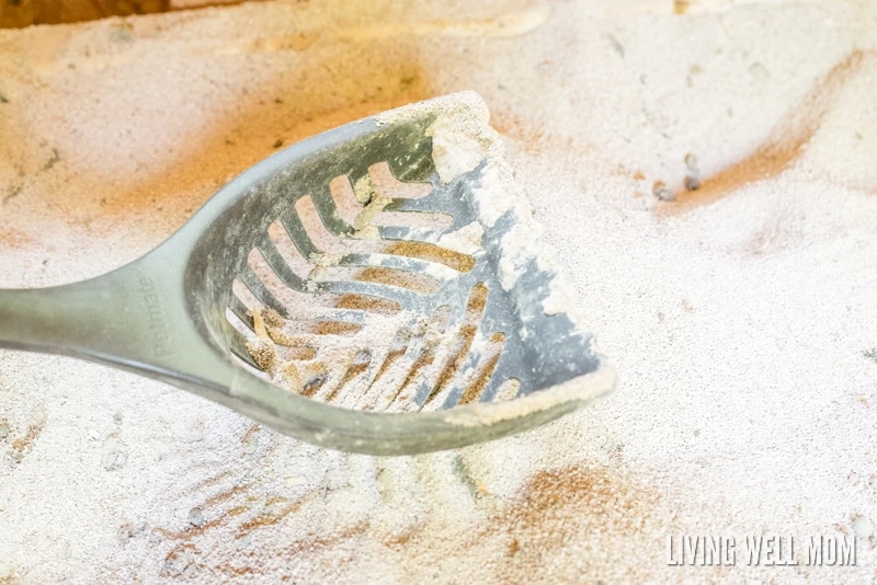 sifting pdz with cat litter scoop inside chicken coop