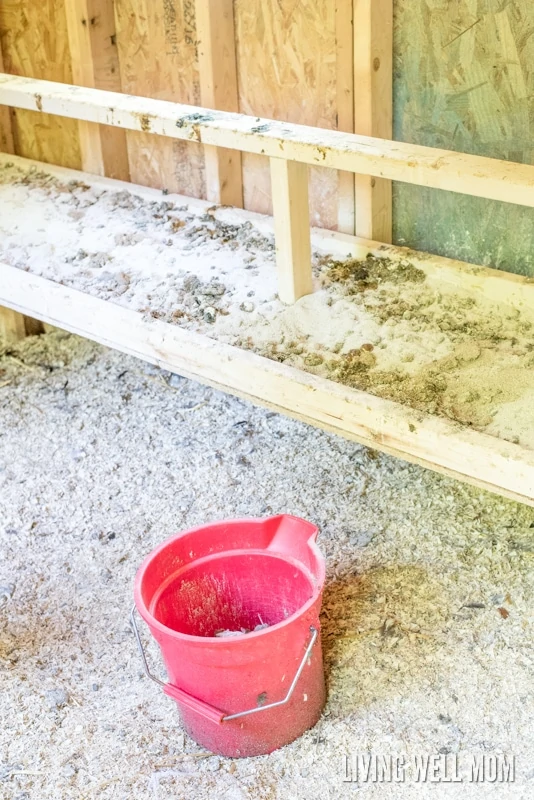 dirty dropping board inside a chicken coop with red bucket