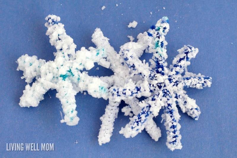 Salt Crystal Snowflakes as an easy STEM activity