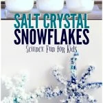 Salt Crystal Snowflakes - this simple STEM activity transforms pipe cleaners into beautiful crystal snowflakes. Kids will love this easy science project!