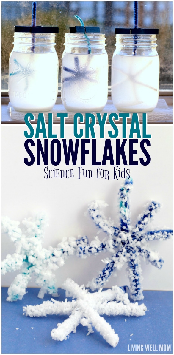 Salt Crystal Snowflakes: Winter STEM Science for Kids