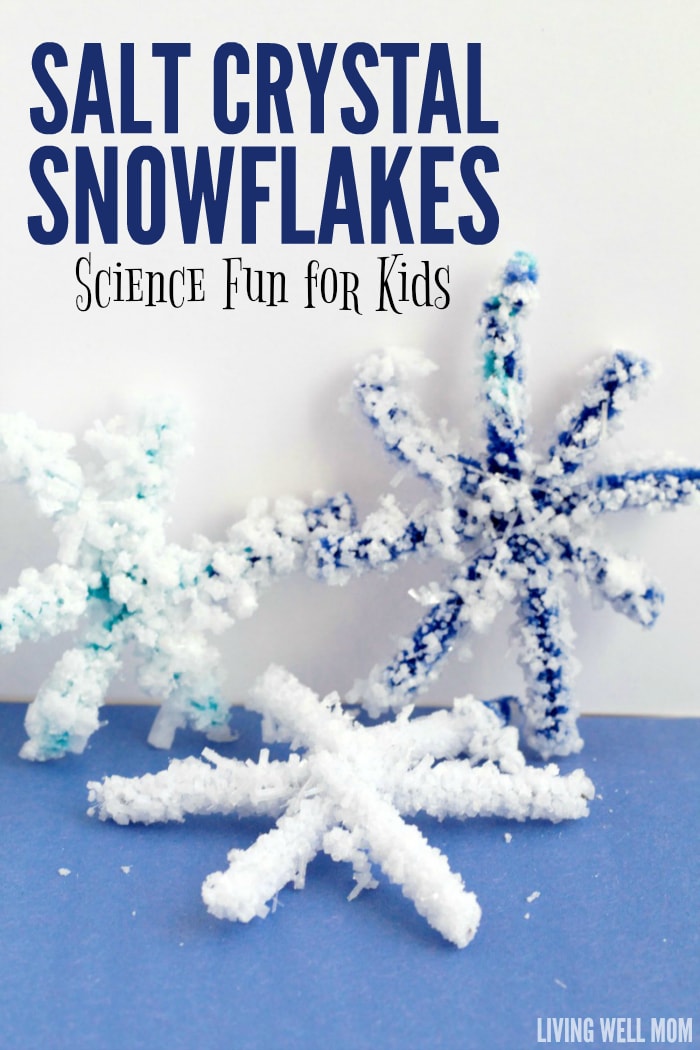 snowflake science experiment