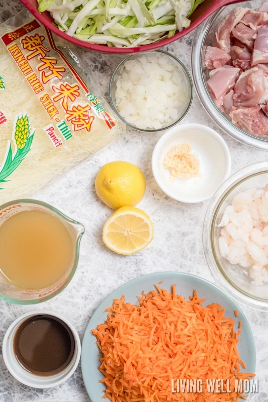 One-Pot Pancit is a quick and easy rice noodle dinner the whole family will love. With chicken, shrimp, and vegetables, this delicious recipe is gluten-free and kid-approved too!