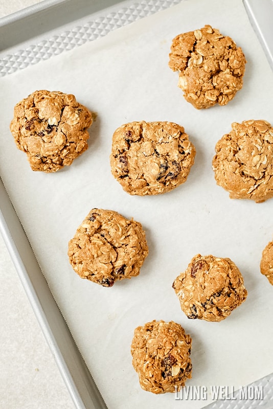 Gluten-Free Oatmeal Raisin Cookies - Living Well Mom