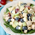 Dairy-Free Waldorf Chicken Salad recipe - loaded with fresh fruits (apples, blueberries, and grapes) chicken and with a simple dressing, this tasty salad is light and easy to make.