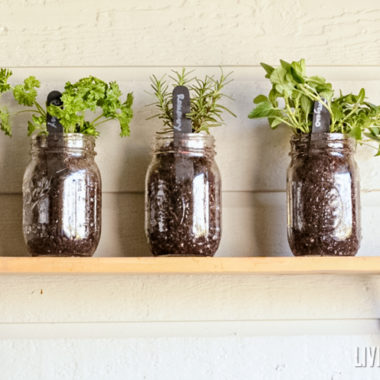 How to make easy herb planters for kids - welcome spring and teach kids how to do simple gardening with these easy mason jar herb planters! They make great gifts too!