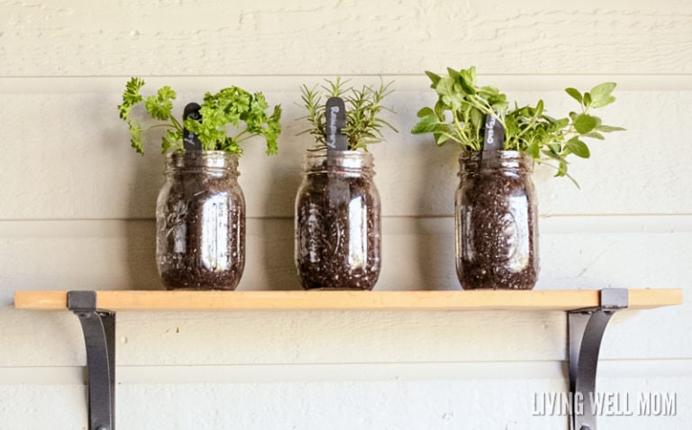 Three herb planters filled with plants and popsicle stick garden markers made by kids. 