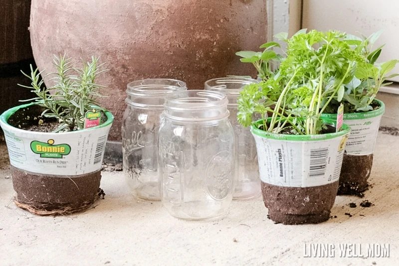 How to make easy herb planters for kids - welcome spring and teach kids how to do simple gardening with these easy mason jar herb planters! They make great gifts too!