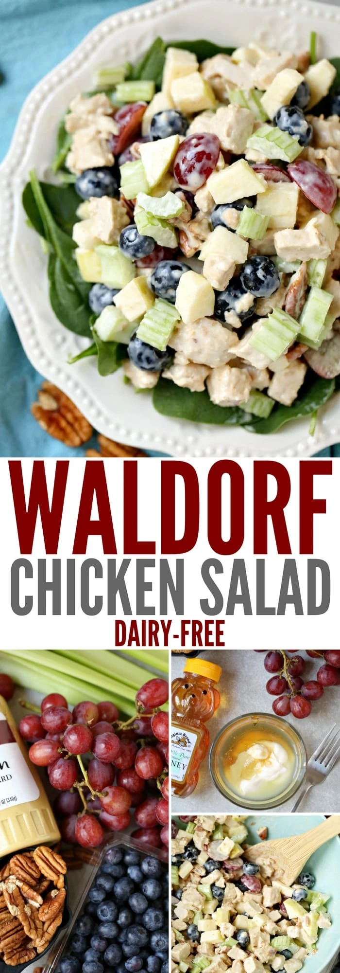 A tasty twist on regular chicken salad, this Waldorf Chicken Salad recipe is loaded with delicious fruit - apples, blueberries, grapes. The mayo, lemon juice, and honey dressing is light and dairy-free too!
