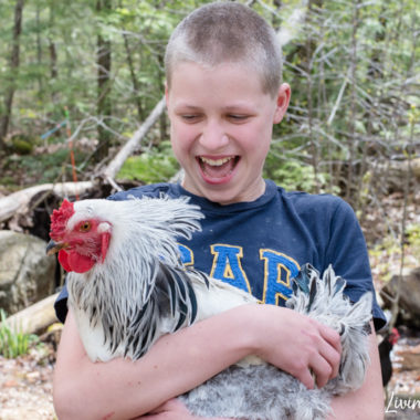 a boy holding his rooster
