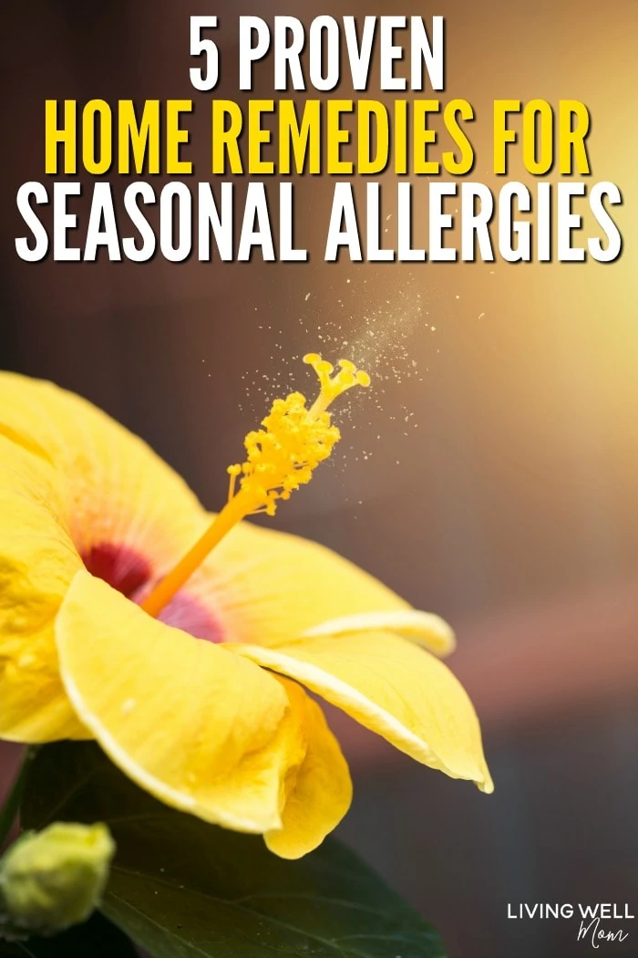 yellow flower with pollen - seasonal allergies