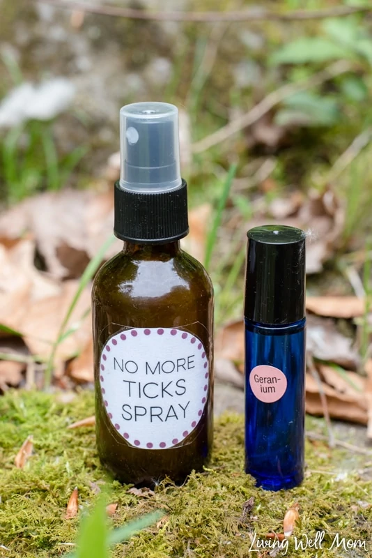 no more ticks glass spray bottle and essential oil roller bottle with moss and dead leaves woods background