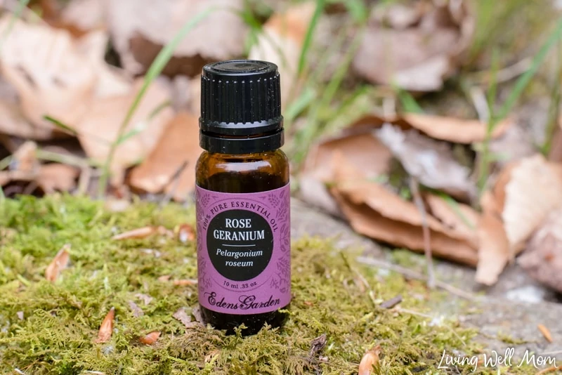 rose geranium essential oil - how to make a DIY all natural tick repellent
