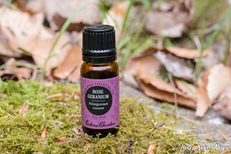 bottle of rose geranium essential oil 