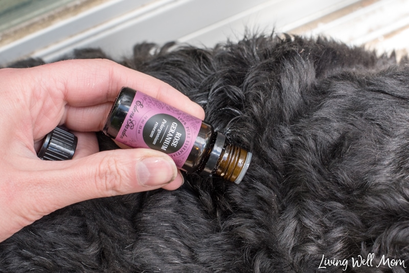 drop rose geranium essential oil on black dog as tick repellent