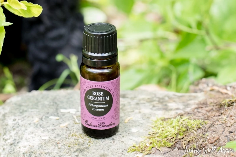 close-up rose geranium essential oil bottle on rock in woods