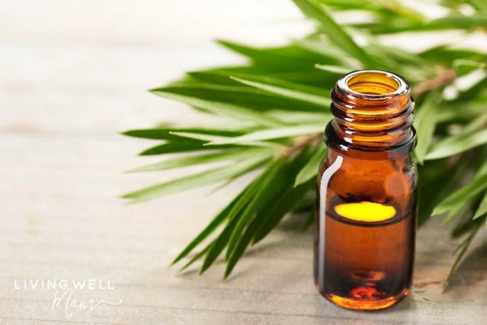 tea tree essential oil for mosquito bites