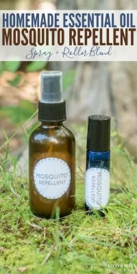 homemade essential oil mosquito repellent
