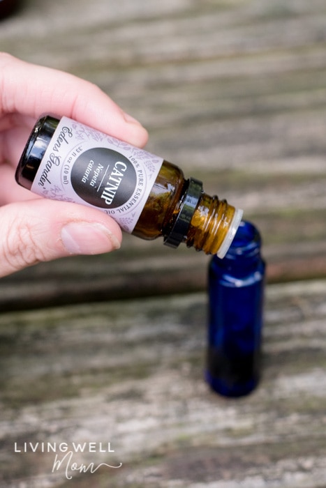 catnip essential oil for casade mosquito repellent