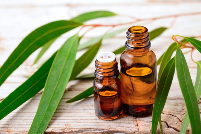lemon eucalyptus essential oil for repelling mosquitoes