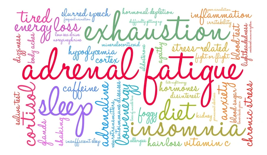 Adrenal fatigue is a common health issue many moms face these days. Here's what you should know about adrenal fatigue symptoms, plus how to get diagnosed and most of all, how to get your energy back!