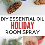 This delightful DIY holiday-scented essential oil room spray is all-natural and only takes a couple minutes to make. With pine and "Christmas cheer", it's a lovely homemade gift idea too.