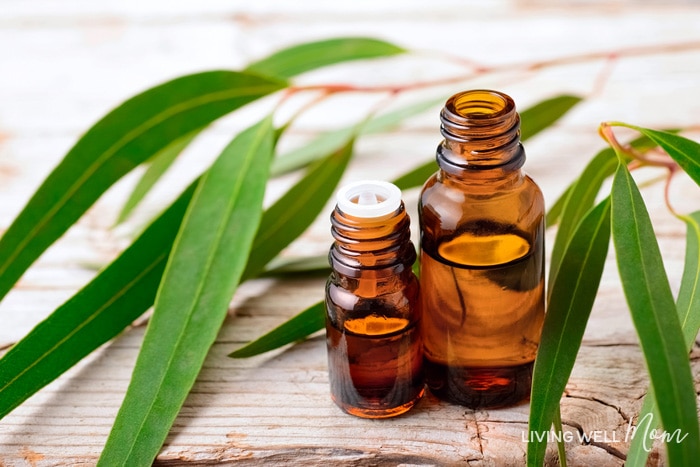 eucalyptus essential oil in allergy relief blend