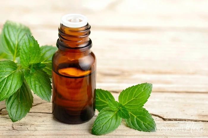 peppermint essential oil to help with seasonal allergies