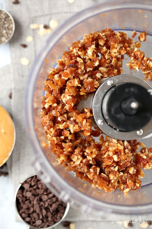 Best Mini Food Processor For Nut Butter Best Mini Food Processor For Nut Butter