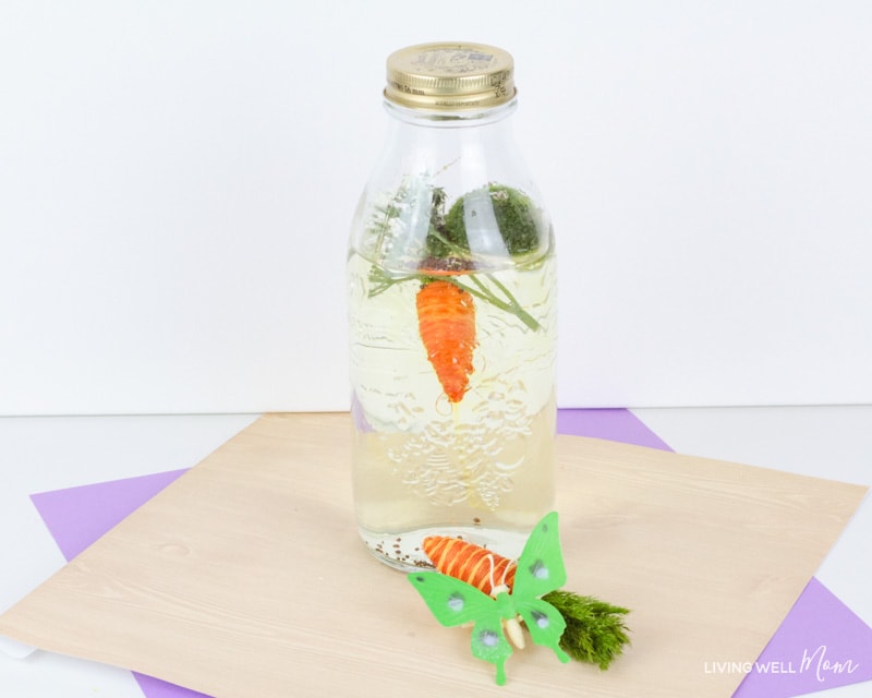 A sensory bottle filled with water and small items including moss and flowers