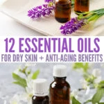 12 Essential Oils for Dry Skin + Anti-Aging Benefits
