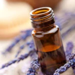 lavender flowers with open essential oil bottle