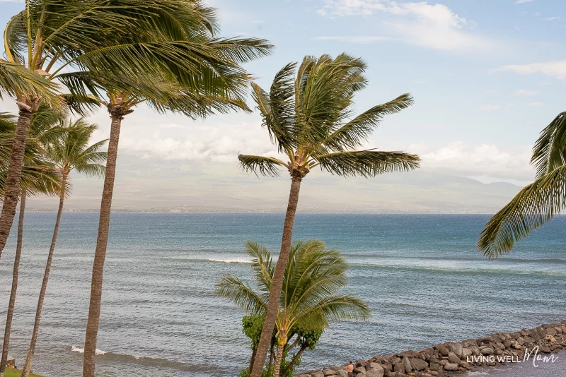 maui palm trees and the pacific ocean