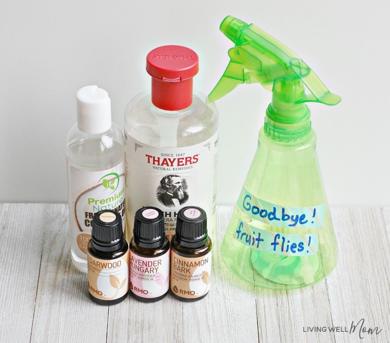 DIY Natural Fruit Fly Trap + Essential Oil Spray Living Well Mom