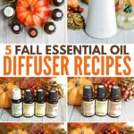 5 Fall Essential Oil Diffuser Recipe